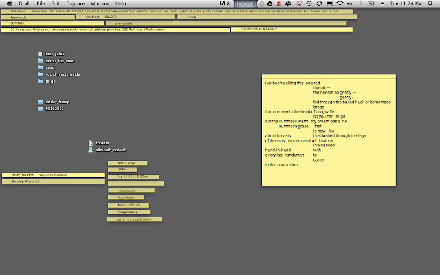 i've been pulling this long red       thread —      the needle so gently —               gently?      fed through the baked husk of homemade       bread from the eye in the head of my giraffe      so you can laugh, but the summer's warm, dry breath bests the      summer's grass — that       is how i feel about breasts.    i've dashed through the legs of the most handsome of all illusions,      i've danced hand-in-hand   with every last handyman to      come to this conclusion: 