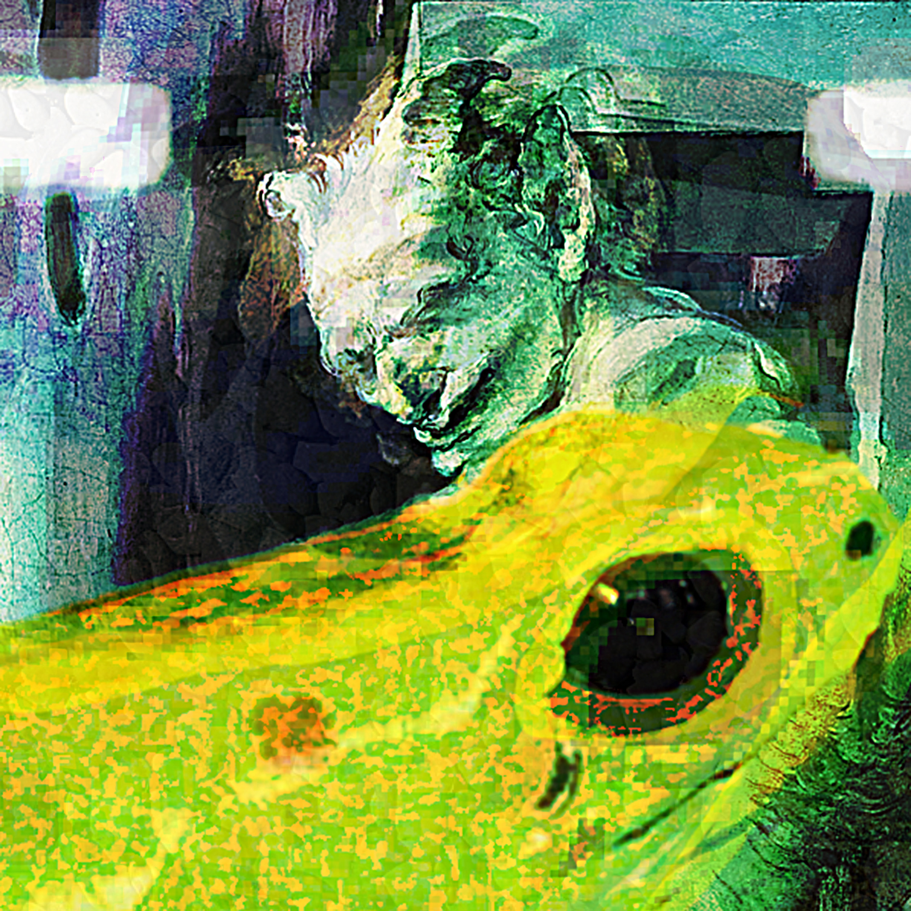 the_frog_of_hyacinthus-sm