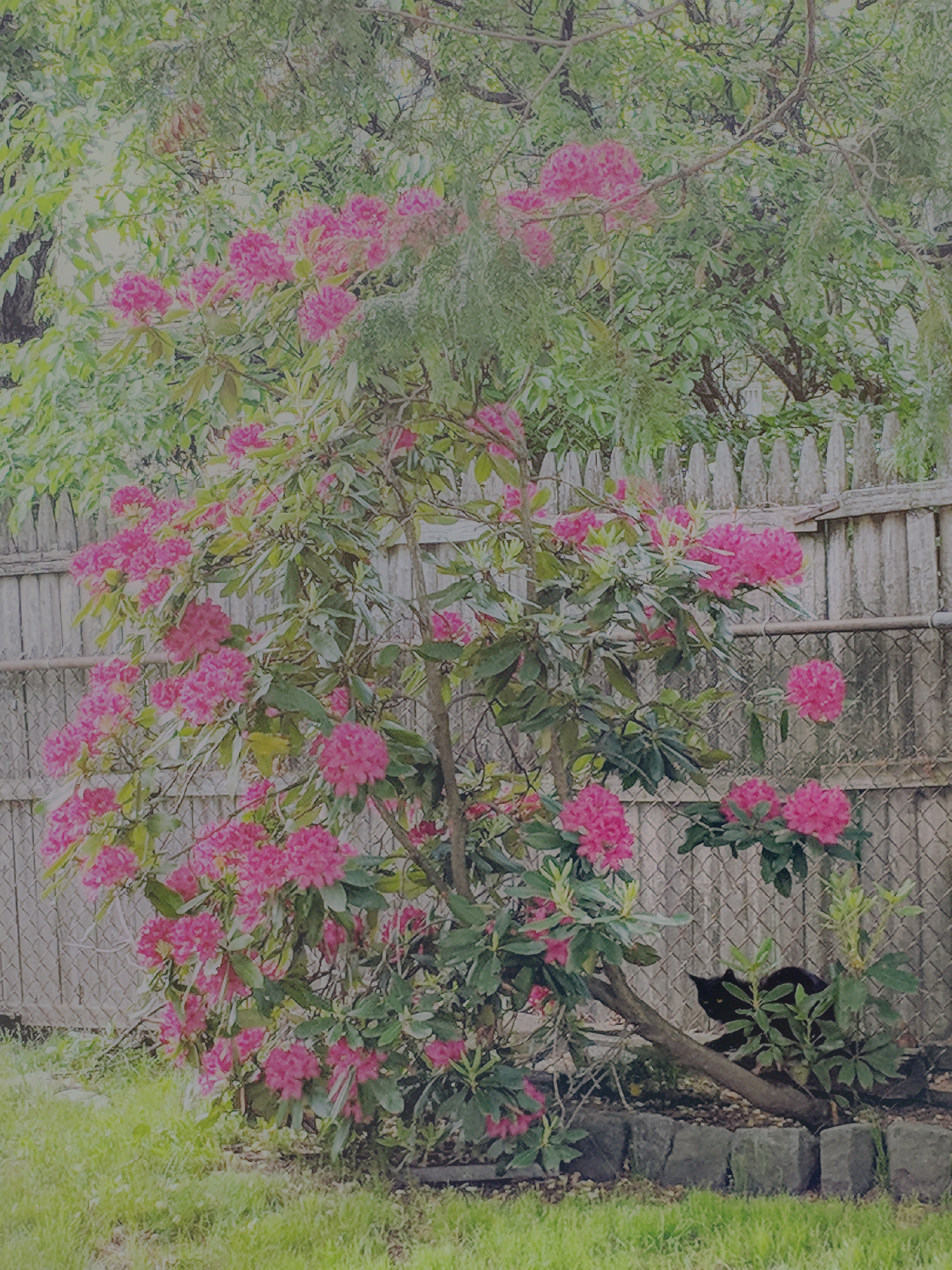 Maker:0x4c,Date:2017-9-26,Ver:4,Lens:Kan03,Act:Lar01,E-Y