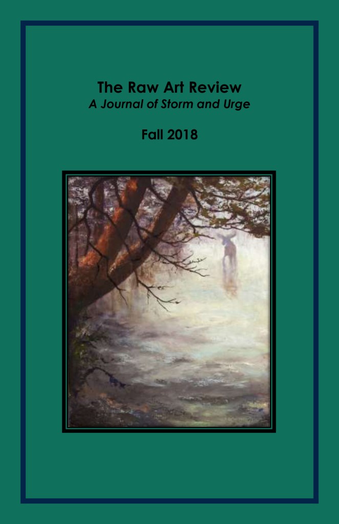 The Raw Art Review, Fall 2018; editor: Henry Stanton; cover: Pieter Lefferts