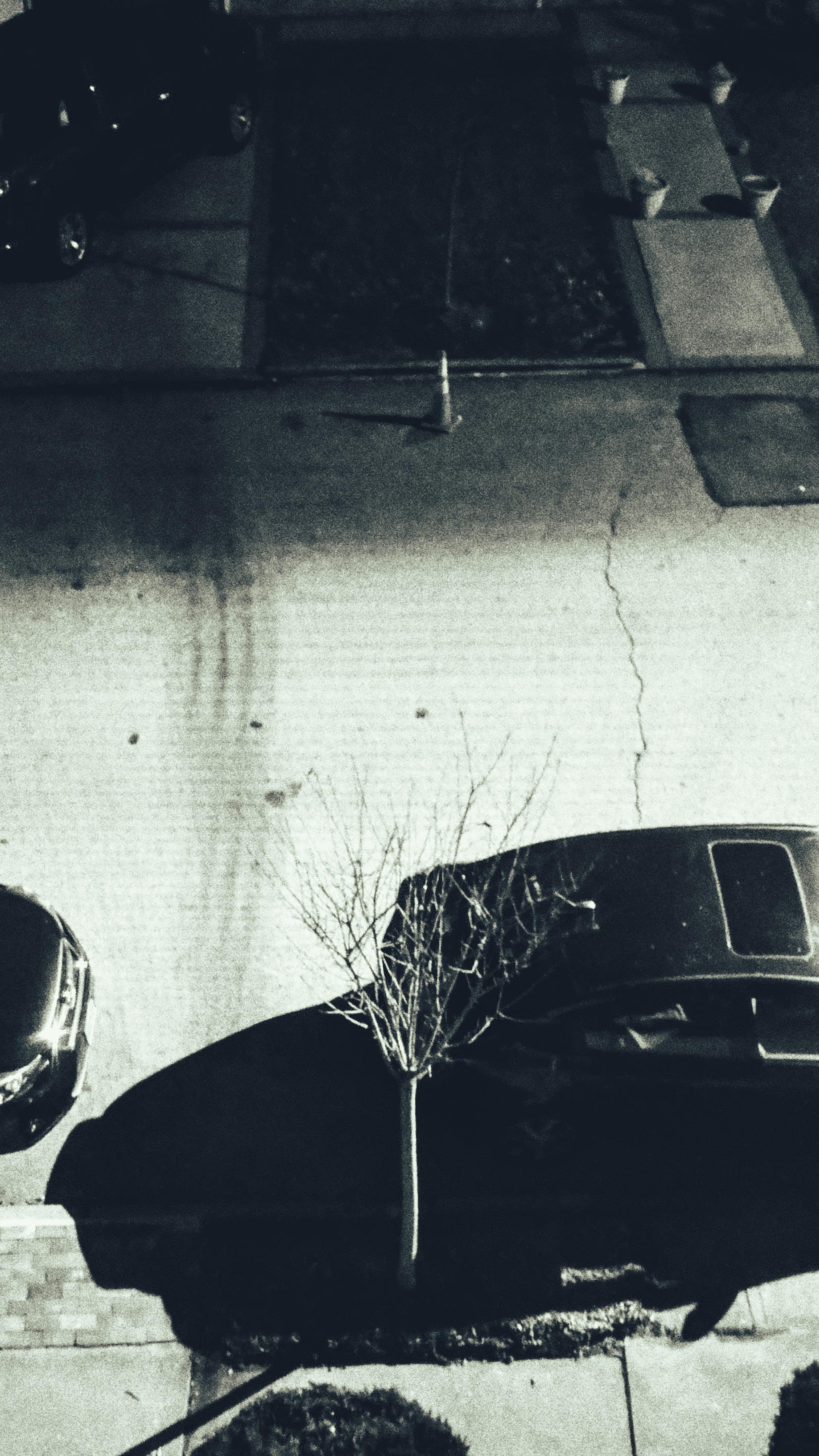 Table Tennis Synomniac