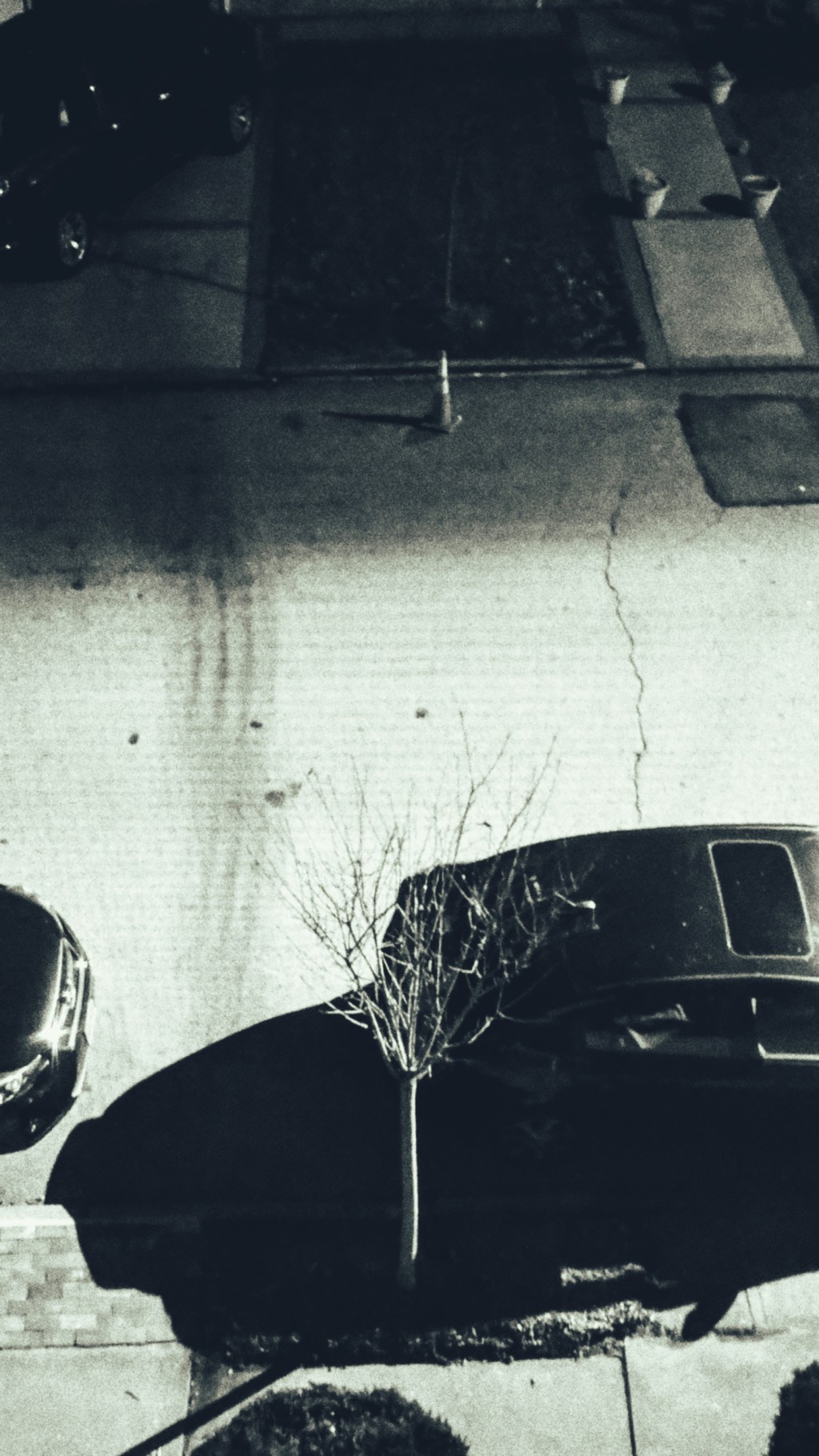 Table Tennis Synomniac