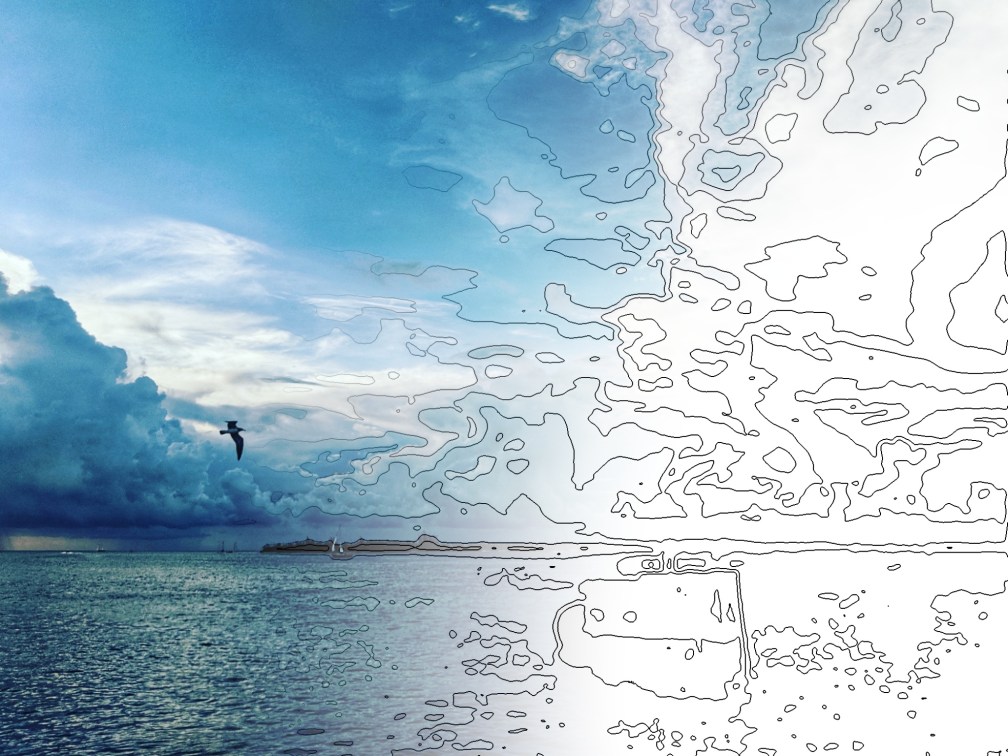 key west sunset birds fate by numbers cavemen