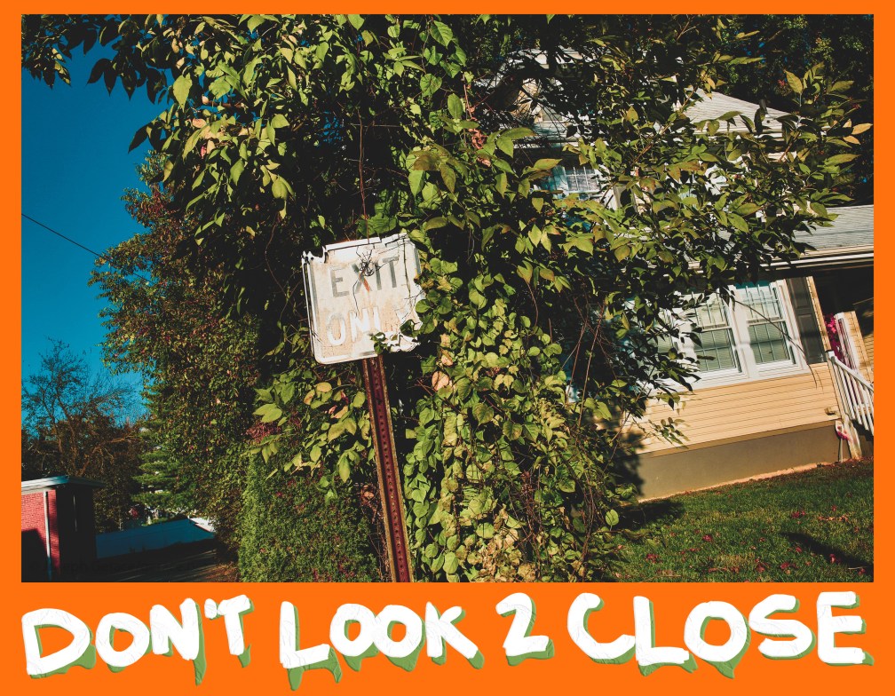 i am free of the artists on my leg 
 and mentally like a teddy bear gestation
 on my leg and forever cleaned from my leg 
 suspicion and energy