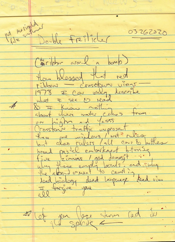 How blessed that red
ribbon — crosstown view —
1978 I can only describe
what I read times what I believe
and I know nothing
here’s among the five false sun-
flowers where the water comes
on high and tehuantepec yesss
crosstown traffic among crows
these are windows / not rules
but also rulers / also cans and bottles
emphasizing broad pale embarkment
buttressing five yellow zinnias / goddammit
why countless empty bowls? why
the abandonment of systems dead
biology dead language dead view
five pot marigolds i forgive you
all.