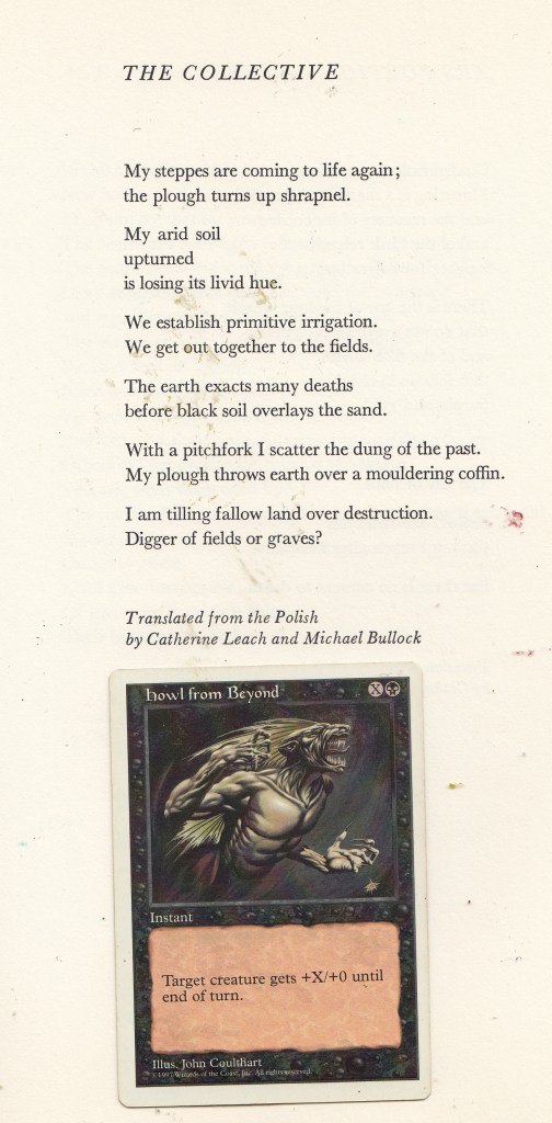 "The Collective" by Bogdan Czaykowski