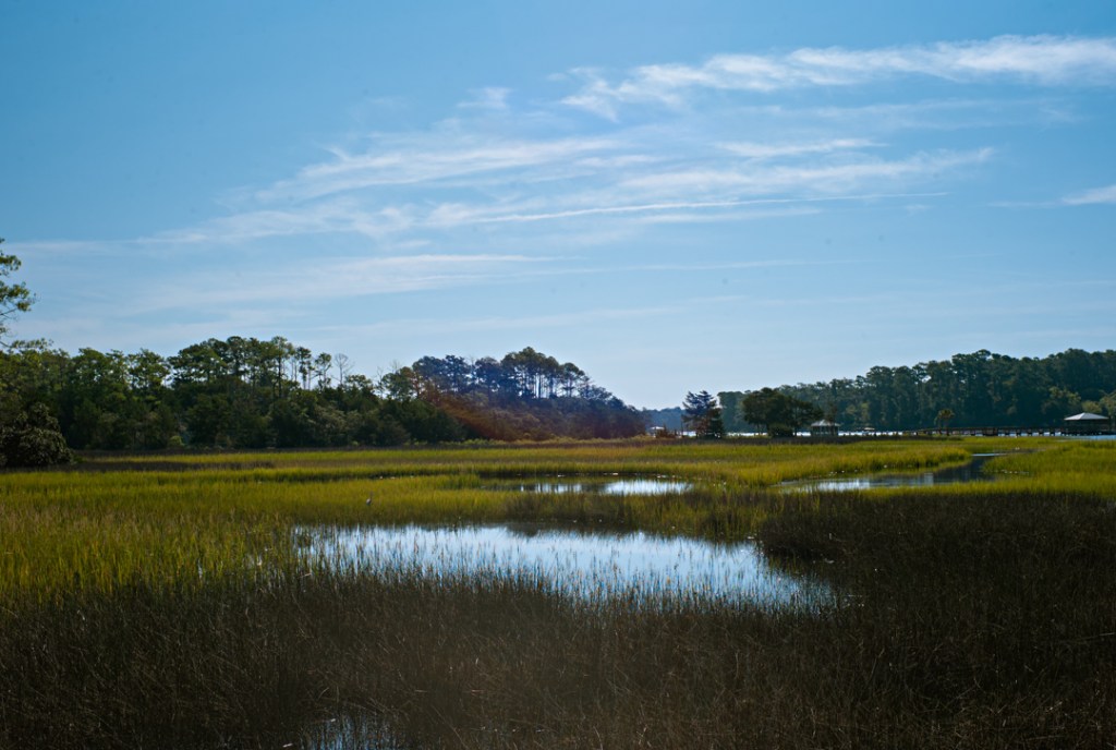 A serene landscape featuring a wetland with tall grass, calm water reflecting the blue sky, and distant trees creating a peaceful natural scene.