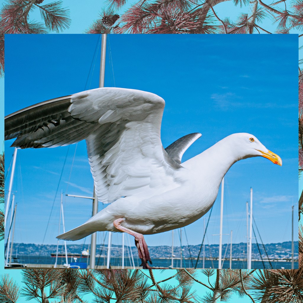 Think We Have The Same&nbsp;Toothbrush