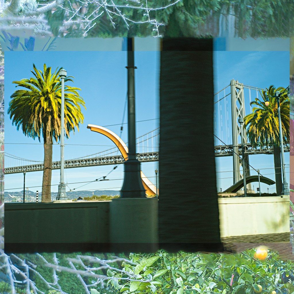 I Am Pleased To Announce&nbsp;That