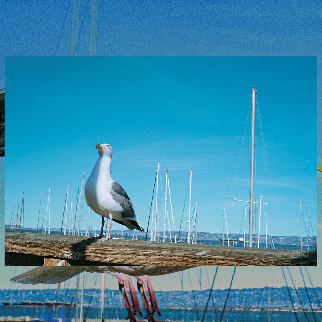 Jef Les Deux Magots Tells&nbsp;Me